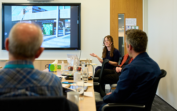 Colleagues in a meeting